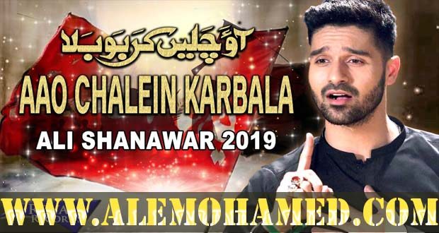 Ali Shanawar Nohay 2019-20