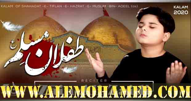 Syed Zain Ali Zaidi Nohay 2020-21 Syed Zain Ali Zaidi Nohay 2020-21