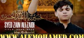 Zain Ali Zaidi Nohay 2022-23