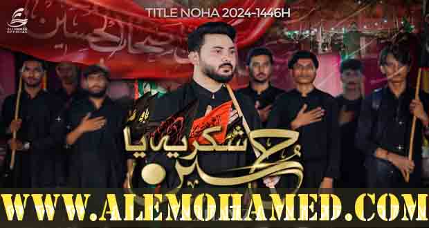 Ali Hamza Nohay 2024-25