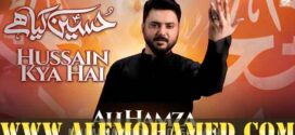 Ali Hamza Nohay 2025-26