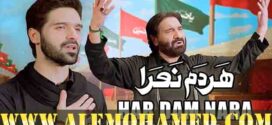 Ali Shanawar Nohay 2025-26