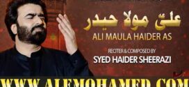 Haider Sherazi Nohay 2025-26