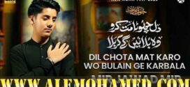Mir Jawad Mir Nohay 2025-26