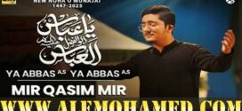 Mir Qasim Mir Nohay 2025-26