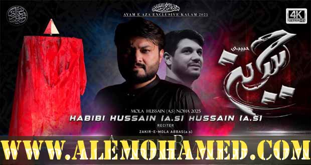 Muhammad Adeel Raza Nohay 2025-26 Muhammad Adeel Raza Nohay 2025-26