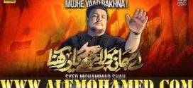 Muhammad Shah Nohay 2025-26