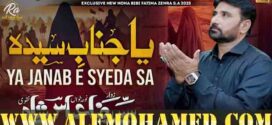 Raza Abbas Shah Nohay 2025-26