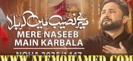 Raza Abbas Zaidi Nohay 2025-26