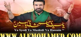 Safdar Abbas Zaidi Nohay 2025-26