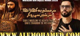 Mir Sajjad Mir Nohay 2026-27