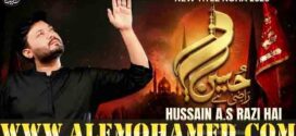 Muhammad Adeel Raza Nohay 2026-27 Muhammad Adeel Raza Nohay 2026-27