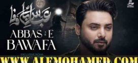 Ali Hamza Nohay 2026-27 Ali Hamza Nohay 2026-27