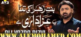 Ali Yazdain Rizvi Nohay 2026-27
