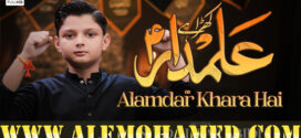 Alizar Abidi Nohay 2026-27 Alizar Abidi Nohay 2026-27