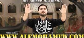 Ammar Hani Nohay 2026-27