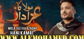 Hani Kamal Nohay 2026-27
