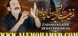 Hassan Sadiq Nohay 2026-27 Hassan Sadiq Nohay 2026-27