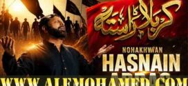 Hasnain Abbas Nohay 2026-27