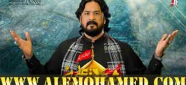 Irfan Haider Rizvi Nohay 2026-27 Irfan Haider Rizvi Nohay 2026-27