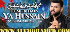 Mesum Abbas Nohay 2026-27