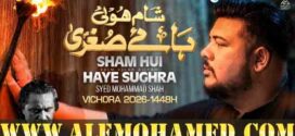 Muhammad Shah Nohay 2026-27