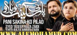 Raza Abbas Zaidi Nohay 2026-27 Raza Abbas Zaidi Nohay 2026-27