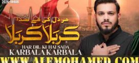 Subbaib Abidi Nohay 2026-27