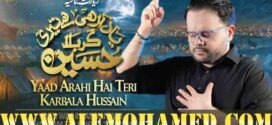 Wajhi Hasan Zaidi Nohay 2026-27