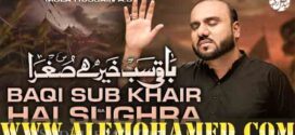 Zile Raza Zaidi Nohay 2026-27